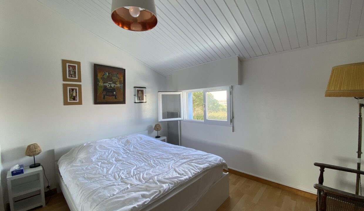 1773507489_VM3690_6_original