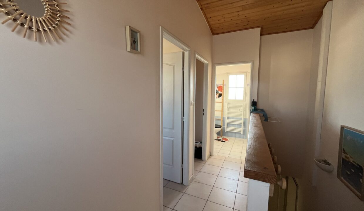 1774007074_VM3694_12_original