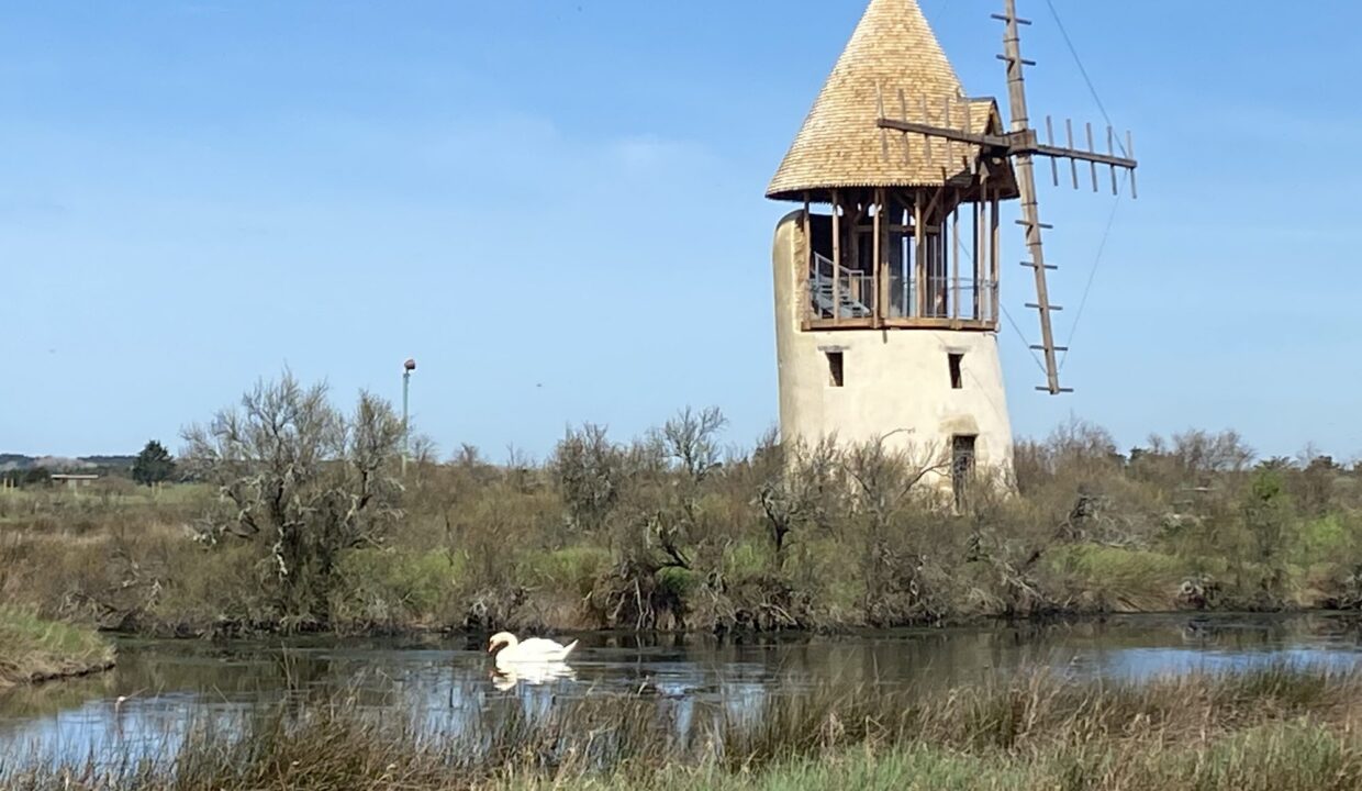 1774253017_VM2776_24_original