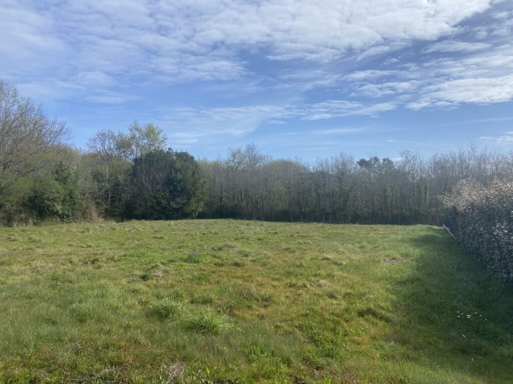 Terrain constructible