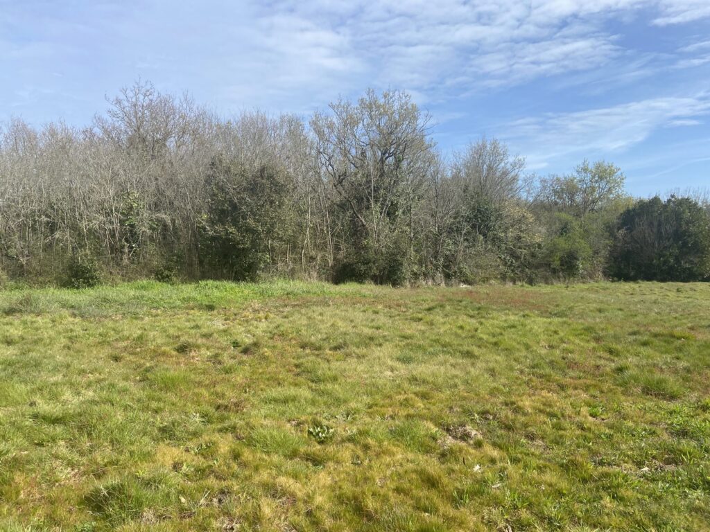 Terrain à vendre Brem-sur-Mer