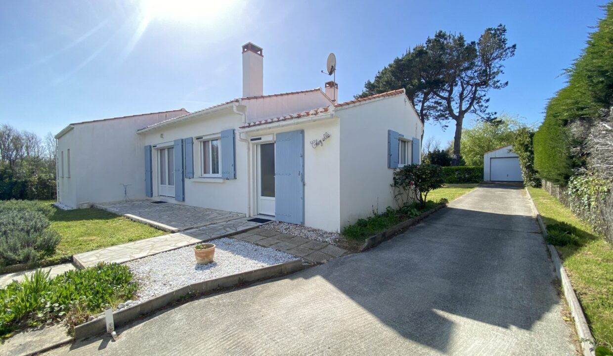 1776068693_VM3695_1_original