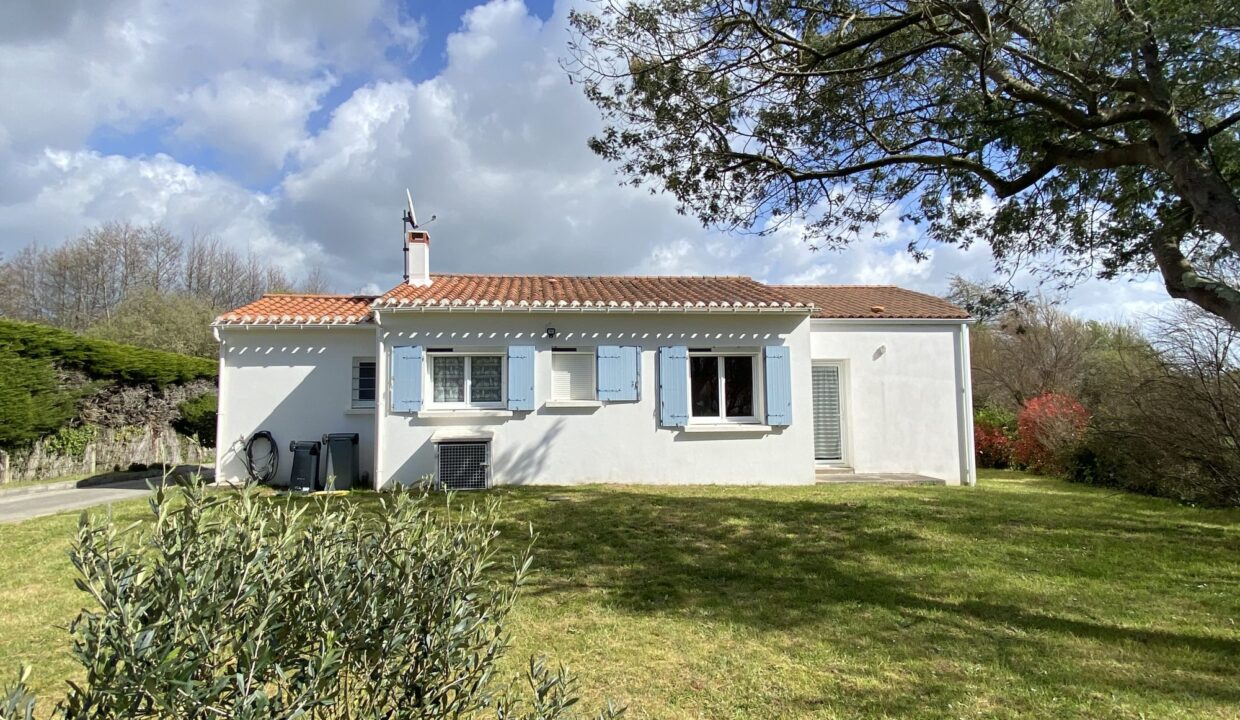 1776068702_VM3695_12_original