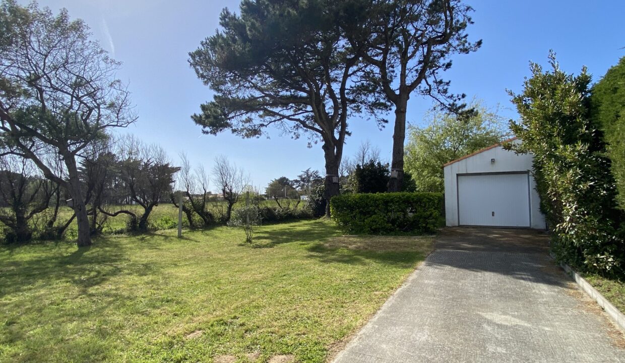 1776068702_VM3695_13_original